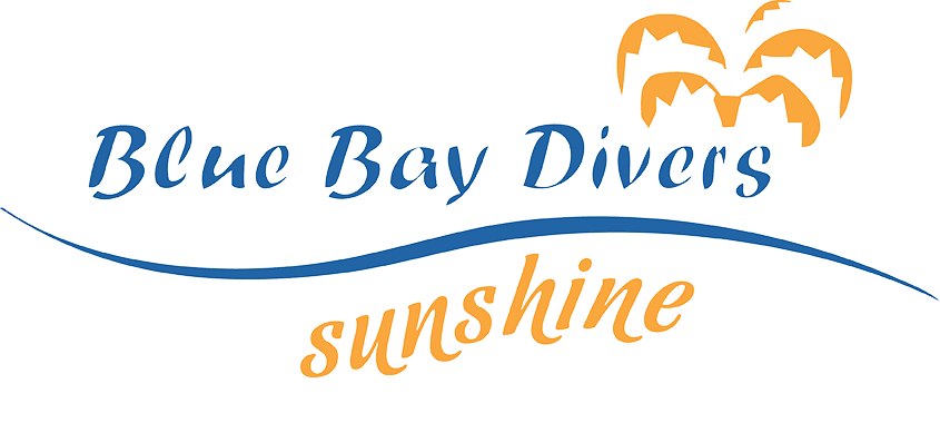 sunshineliveaboard.com