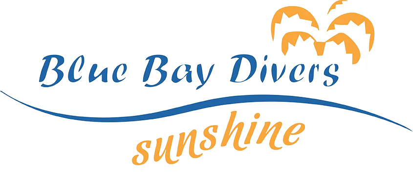 sunshineliveaboard.com